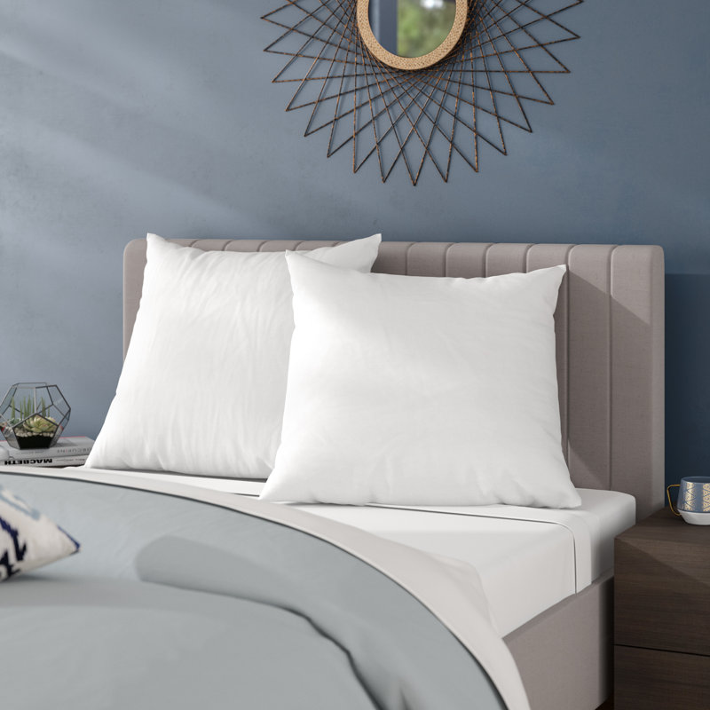 Alwyn Home Cotton Euro Pillow & Reviews Wayfair